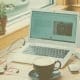 The best web host for beginners
